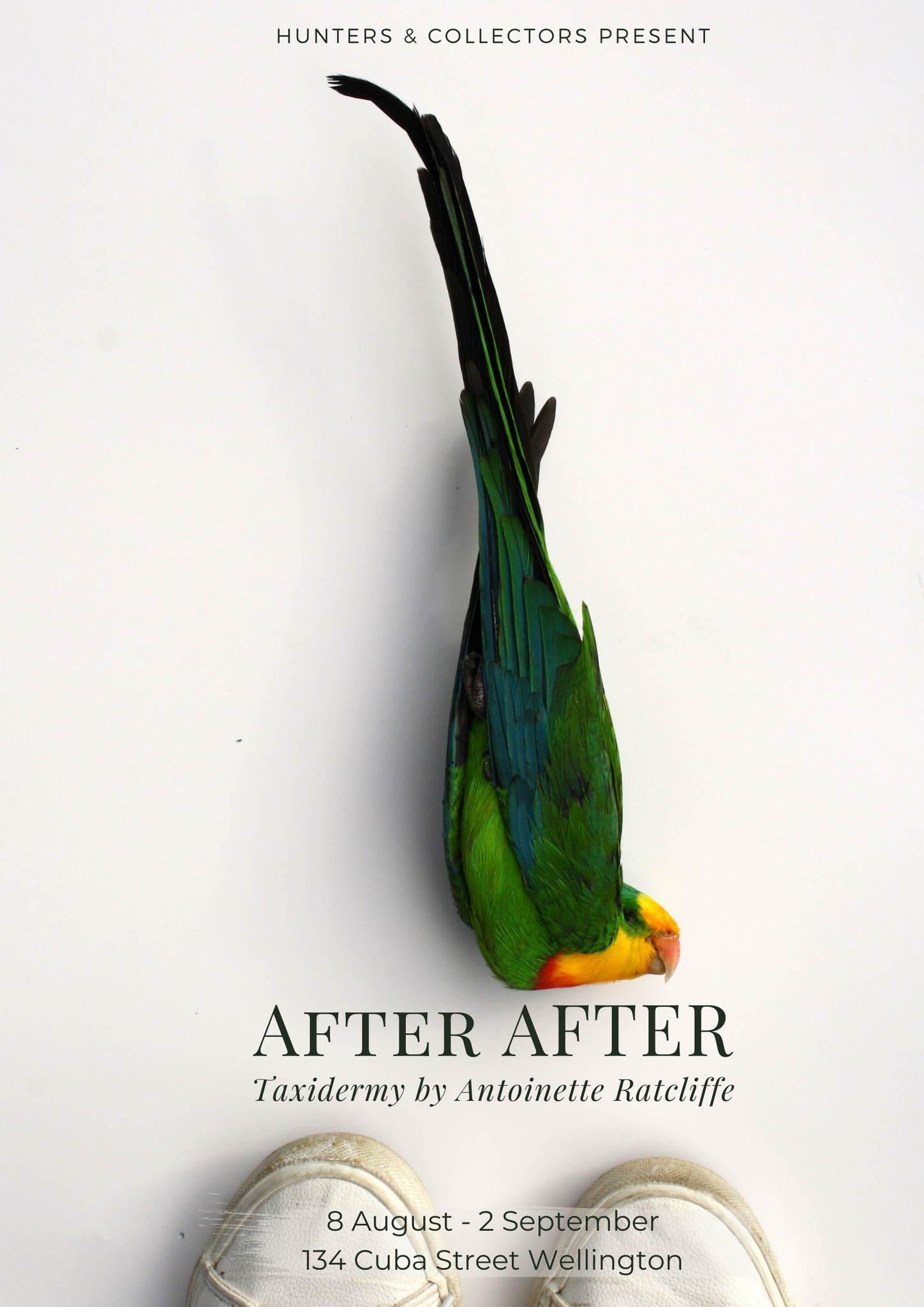 AFTER AFTER by Antoinette Ratcliffe