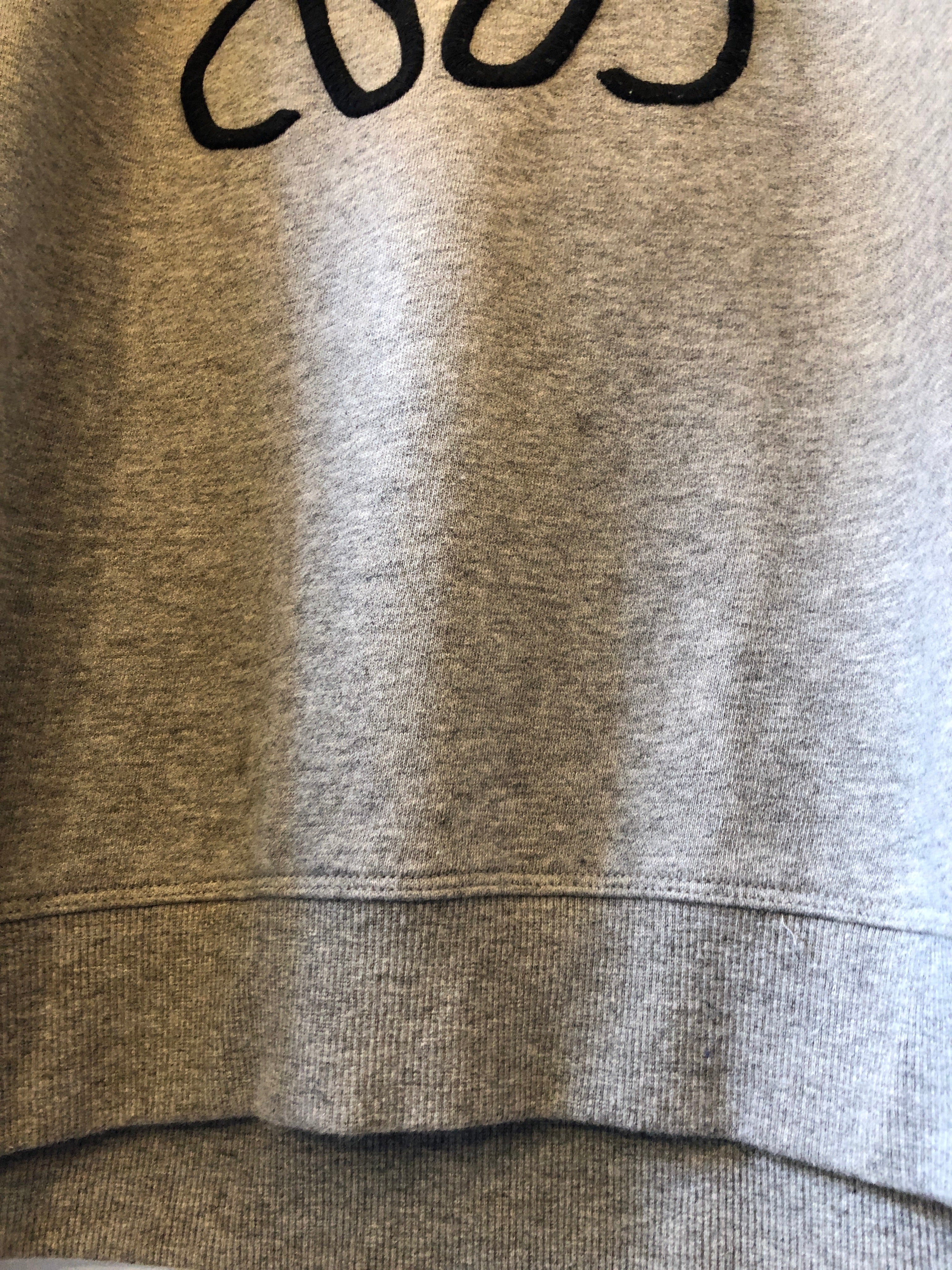 LOEWE sweatshirt